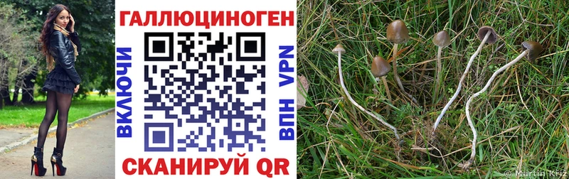 Галлюциногенные грибы мицелий  МЕГА зеркало  Урай  где можно купить наркотик 